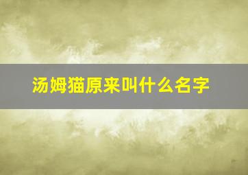 汤姆猫原来叫什么名字