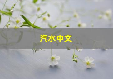 汽水中文