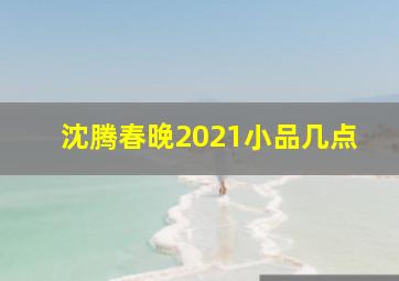 沈腾春晚2021小品几点