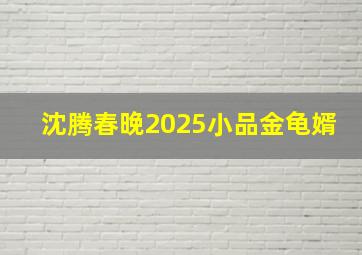 沈腾春晚2025小品金龟婿