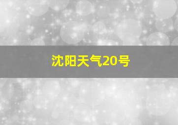 沈阳天气20号