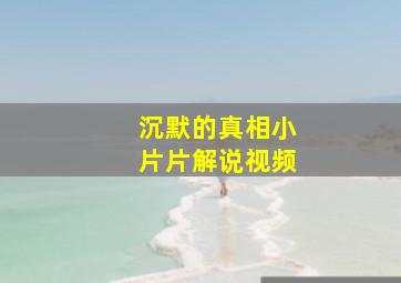 沉默的真相小片片解说视频