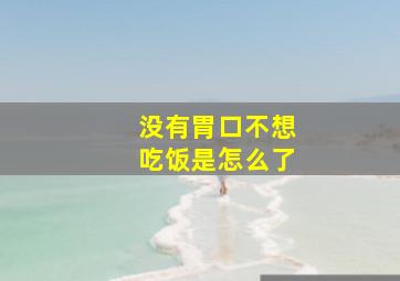 没有胃口不想吃饭是怎么了