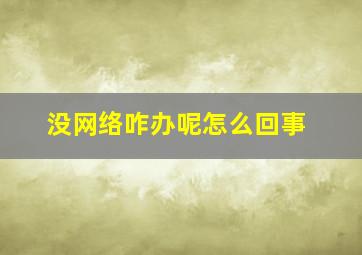 没网络咋办呢怎么回事