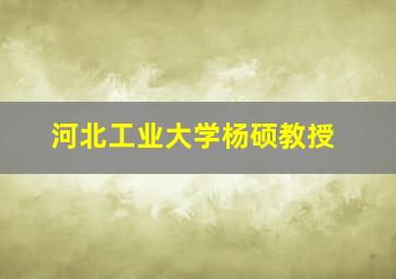 河北工业大学杨硕教授