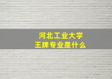 河北工业大学王牌专业是什么