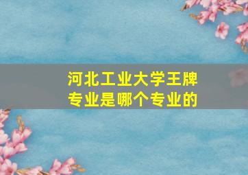 河北工业大学王牌专业是哪个专业的