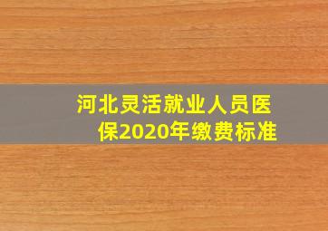 河北灵活就业人员医保2020年缴费标准