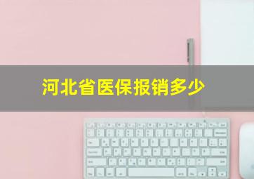 河北省医保报销多少