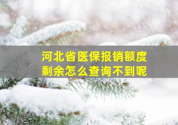 河北省医保报销额度剩余怎么查询不到呢