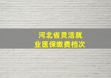 河北省灵活就业医保缴费档次