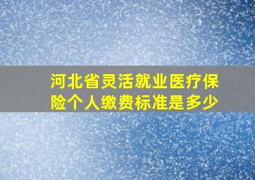 河北省灵活就业医疗保险个人缴费标准是多少