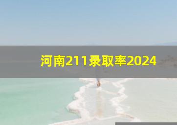 河南211录取率2024