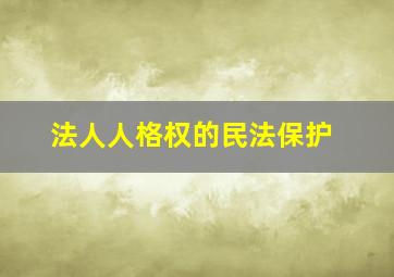 法人人格权的民法保护