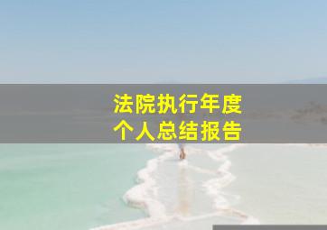 法院执行年度个人总结报告