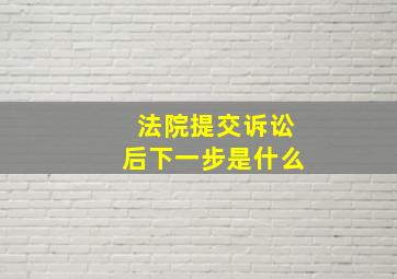 法院提交诉讼后下一步是什么