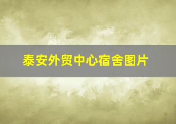 泰安外贸中心宿舍图片