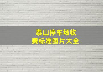 泰山停车场收费标准图片大全