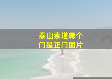 泰山索道哪个门是正门图片