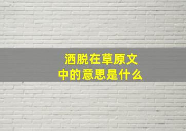 洒脱在草原文中的意思是什么