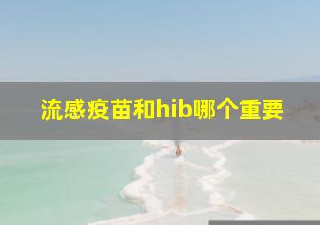 流感疫苗和hib哪个重要