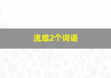 流组2个词语