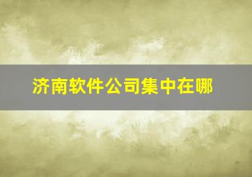 济南软件公司集中在哪