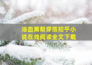 浴血黑帮穿搭知乎小说在线阅读全文下载