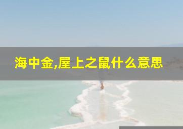 海中金,屋上之鼠什么意思