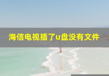 海信电视插了u盘没有文件