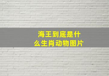 海王到底是什么生肖动物图片