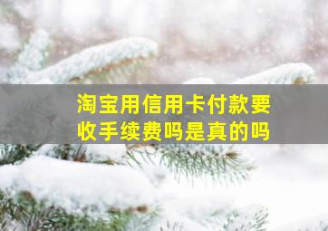 淘宝用信用卡付款要收手续费吗是真的吗