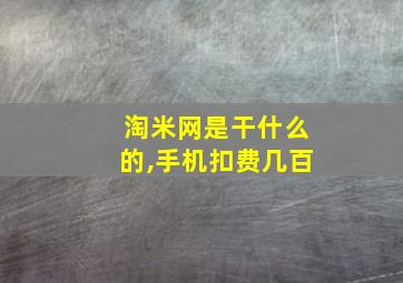 淘米网是干什么的,手机扣费几百