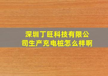 深圳丁旺科技有限公司生产充电桩怎么样啊