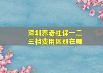 深圳养老社保一二三档费用区别在哪