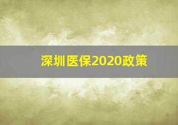 深圳医保2020政策