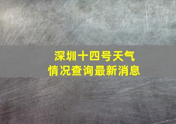 深圳十四号天气情况查询最新消息