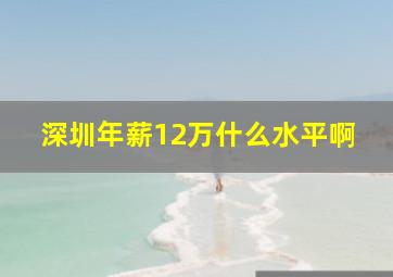 深圳年薪12万什么水平啊