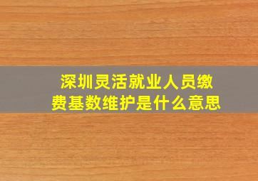 深圳灵活就业人员缴费基数维护是什么意思