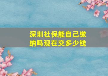 深圳社保能自己缴纳吗现在交多少钱