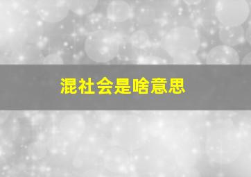 混社会是啥意思