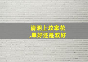 清明上坟拿花,单好还是双好