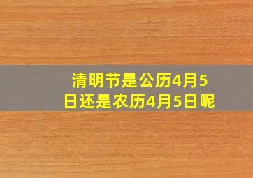 清明节是公历4月5日还是农历4月5日呢