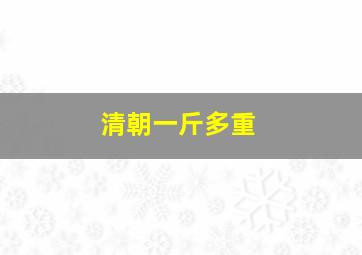 清朝一斤多重