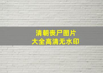 清朝丧尸图片大全高清无水印