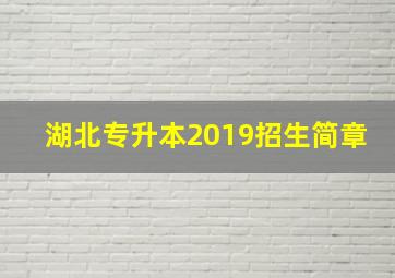 湖北专升本2019招生简章