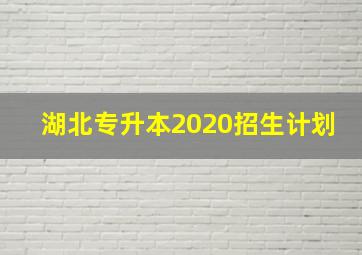 湖北专升本2020招生计划