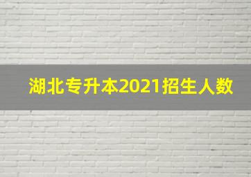 湖北专升本2021招生人数