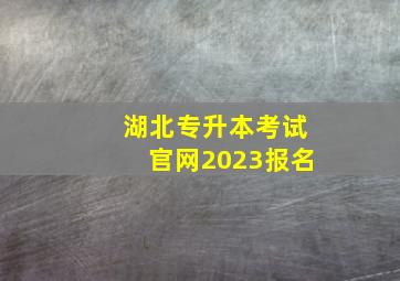 湖北专升本考试官网2023报名