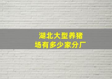 湖北大型养猪场有多少家分厂